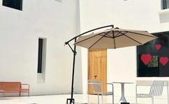 女人当官大结局